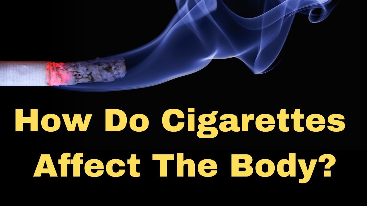 How Do Cigarettes Affect The Body?